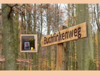 ein Bild aus dem Album